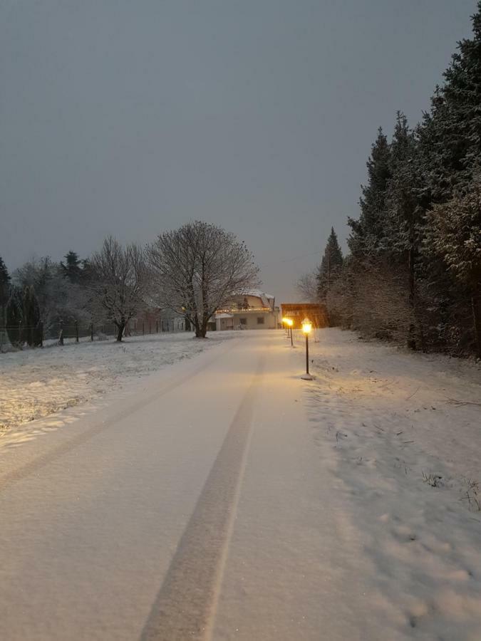 Gastehaus Stein Hotel Nemesbuk ภายนอก รูปภาพ